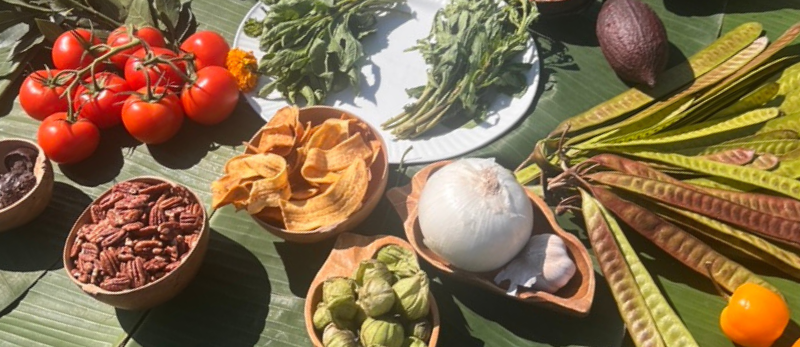 Tomatoes, onion, garlic, and other ingredients on a table