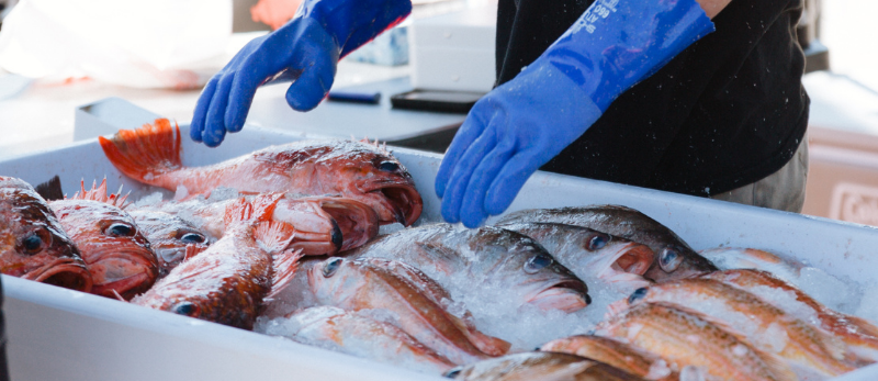 Whole fish on ice displayed at a fisherman's market stall